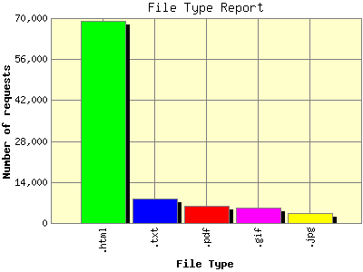 File Type Report: Number of requests by File Type.